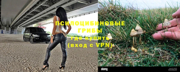 бошки Козельск