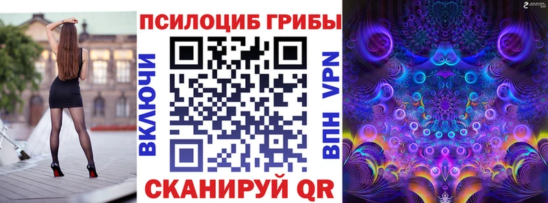 Купить где  Лыткарино  Галлюциногенные грибы прущие грибы 
